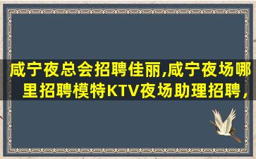 辽宁KTV招聘